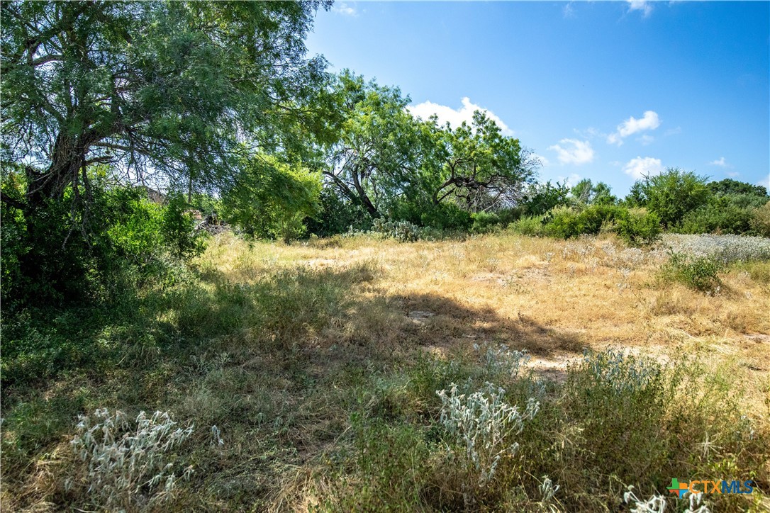 Donop Commercial Development | 54.36 ± Acres | Bexar County