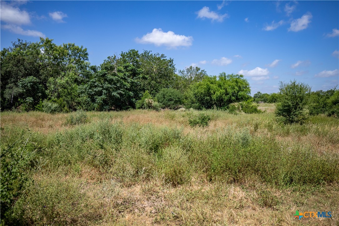 Donop Commercial Development | 54.36 ± Acres | Bexar County