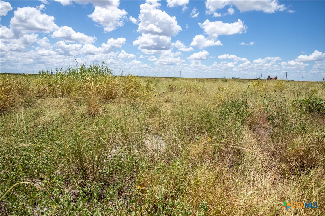 40± Acre Hay Field | San Patricio County | Mathis, TX
