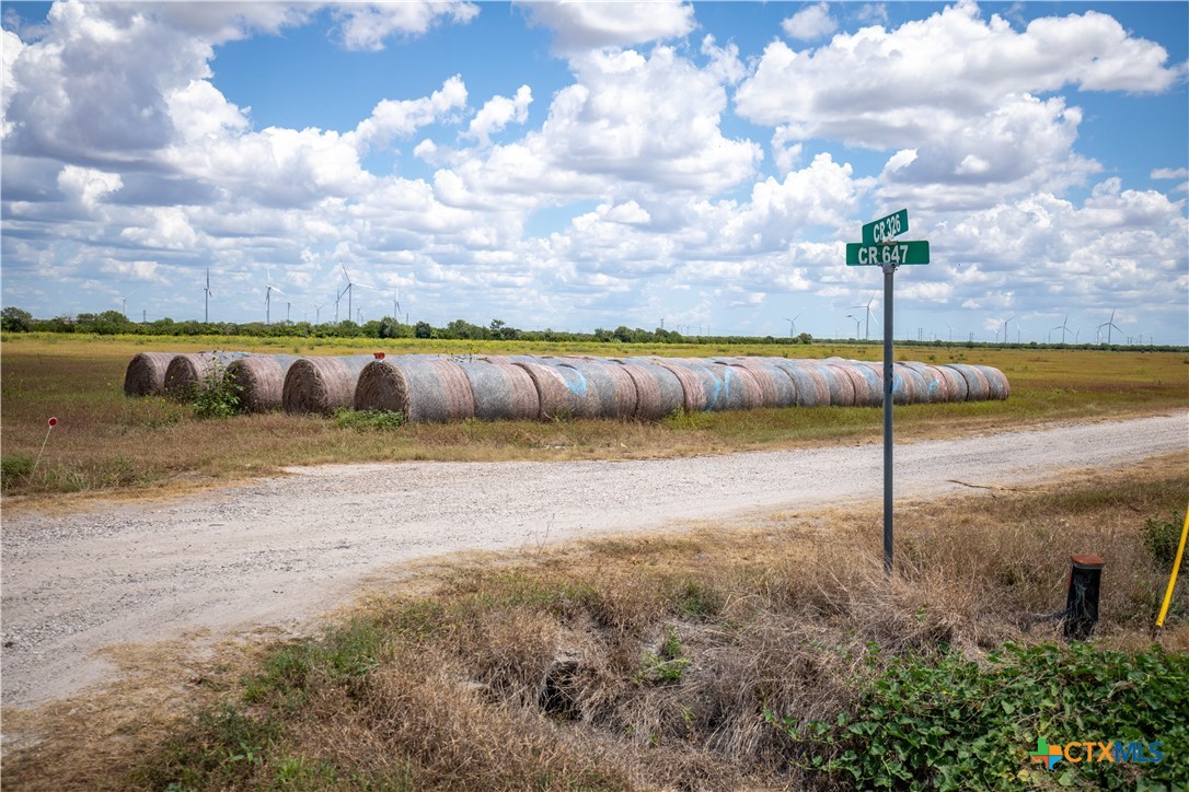 40± Acre Hay Field | San Patricio County | Mathis, TX