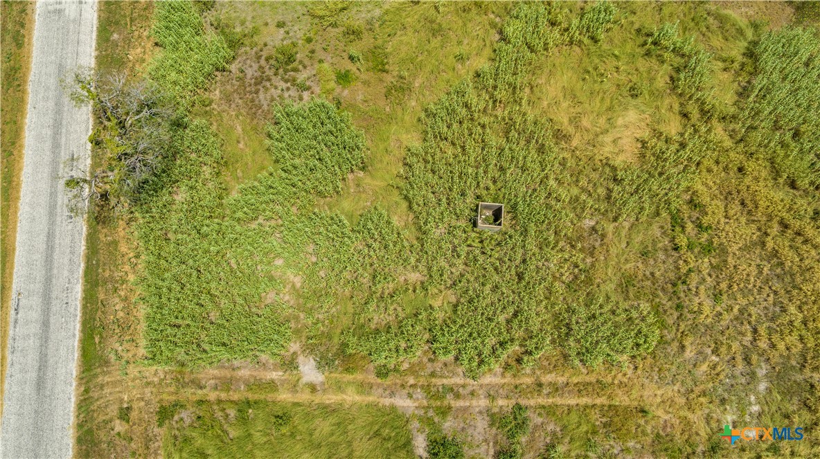 40± Acre Hay Field | San Patricio County | Mathis, TX