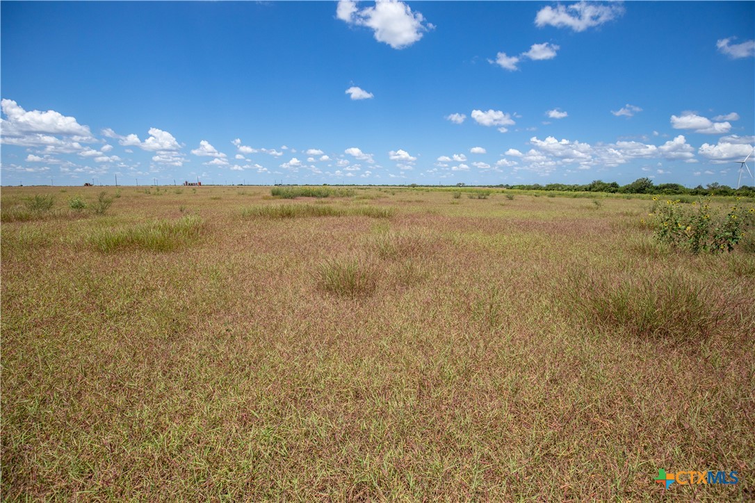 40± Acre Hay Field | San Patricio County | Mathis, TX