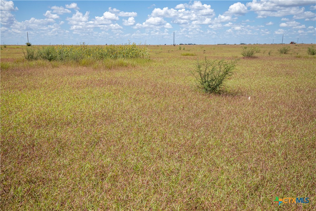 40± Acre Hay Field | San Patricio County | Mathis, TX