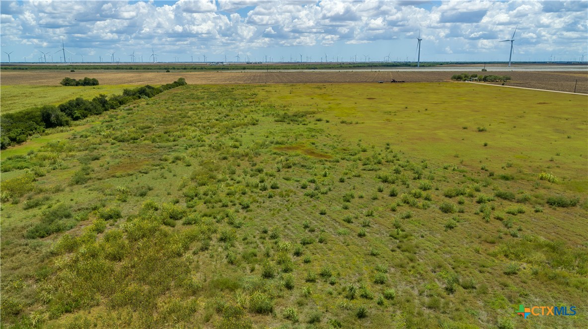 40± Acre Hay Field | San Patricio County | Mathis, TX