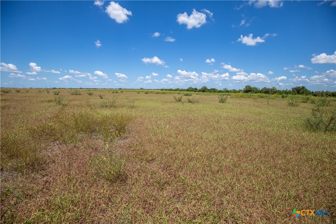 40± Acre Hay Field | San Patricio County | Mathis, TX