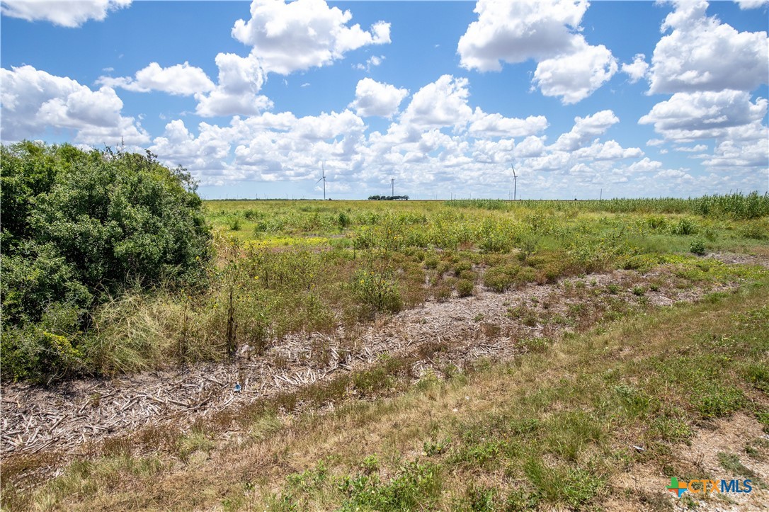 40± Acre Hay Field | San Patricio County | Mathis, TX