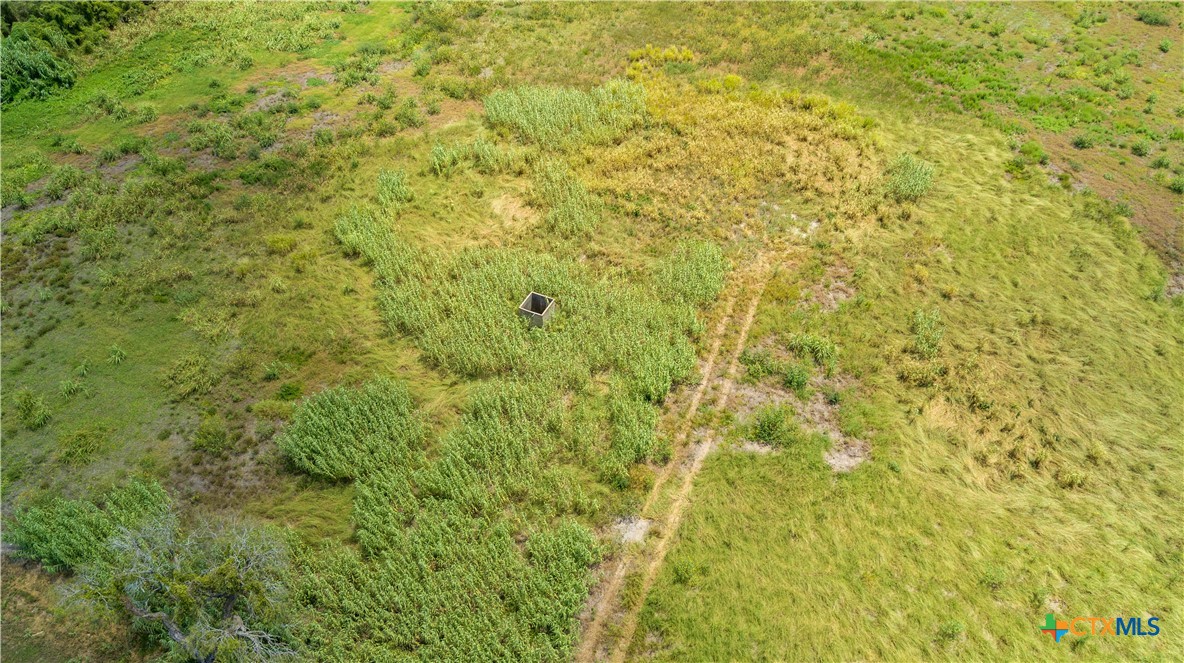 40± Acre Hay Field | San Patricio County | Mathis, TX