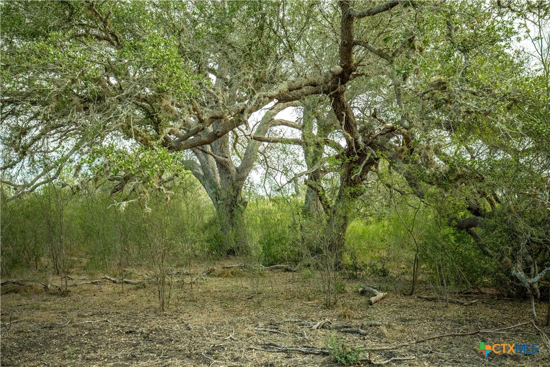 The Earl Williams Road Farm | 118.75± Acres | DeWitt County, Texas