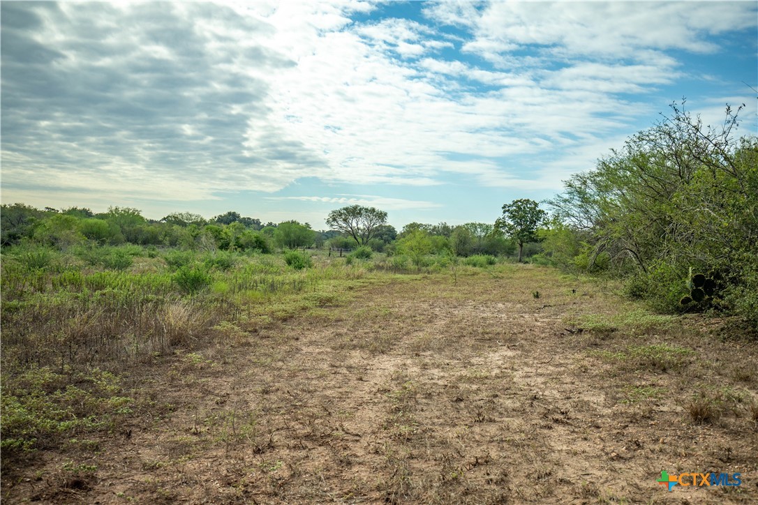 The Earl Williams Road Farm | 118.75± Acres | DeWitt County, Texas