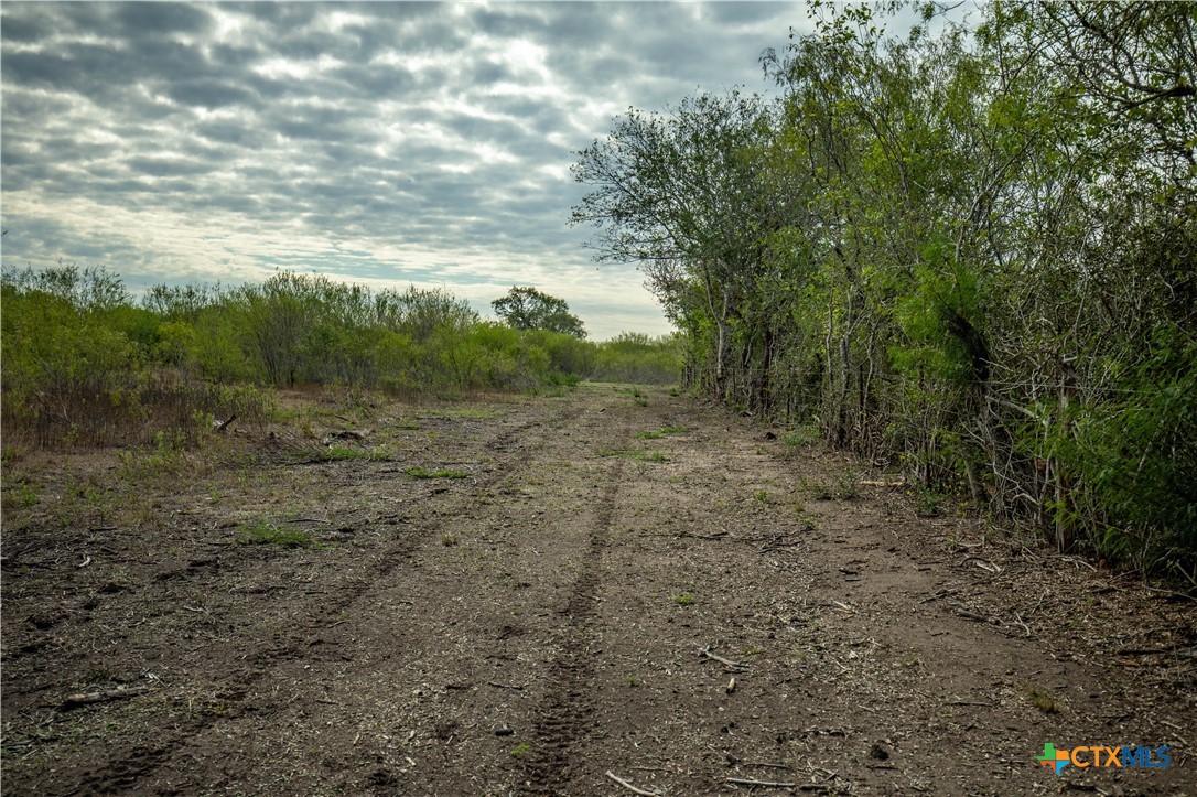 The Earl Williams Road Farm | 118.75± Acres | DeWitt County, Texas