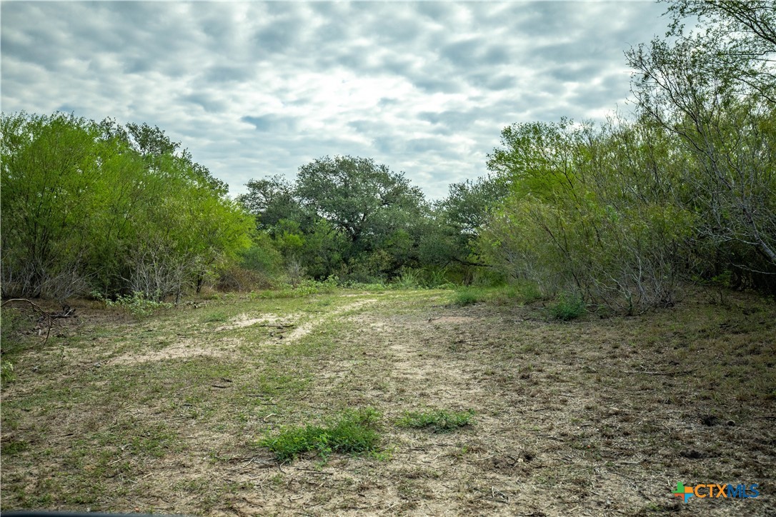 The Earl Williams Road Farm | 118.75± Acres | DeWitt County, Texas