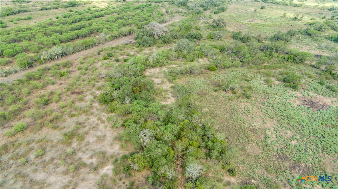 The Earl Williams Road Farm | 118.75± Acres | DeWitt County, Texas