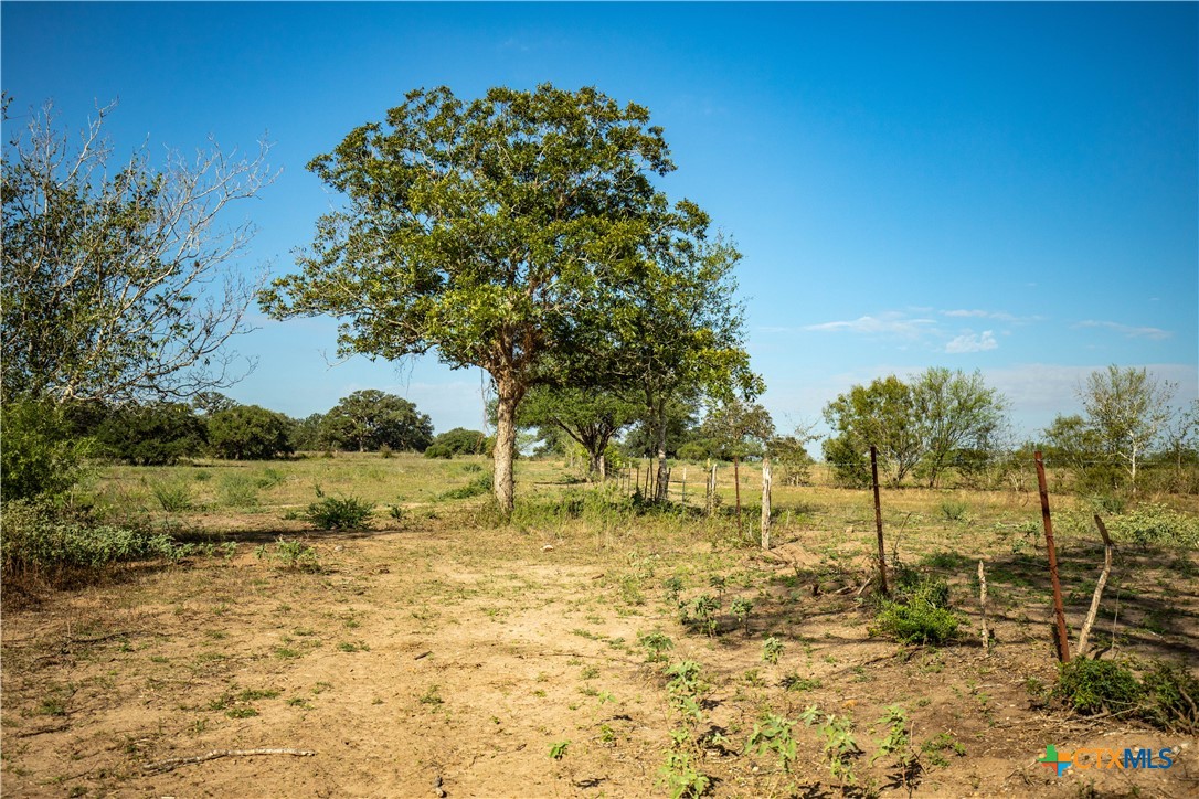 The Earl Williams Road Farm | 118.75± Acres | DeWitt County, Texas
