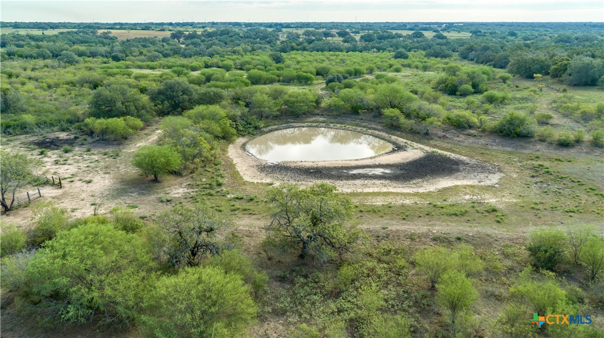 The Earl Williams Road Farm | 118.75± Acres | DeWitt County, Texas
