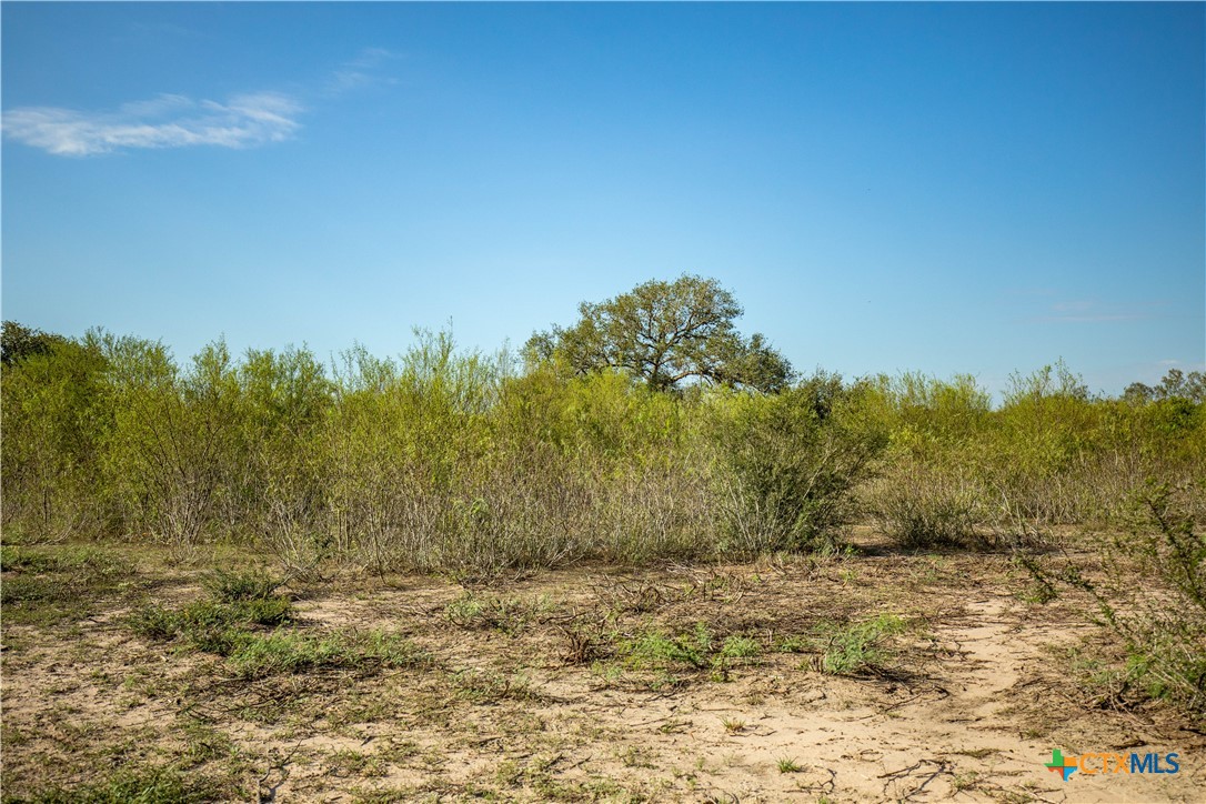 The Earl Williams Road Farm | 118.75± Acres | DeWitt County, Texas
