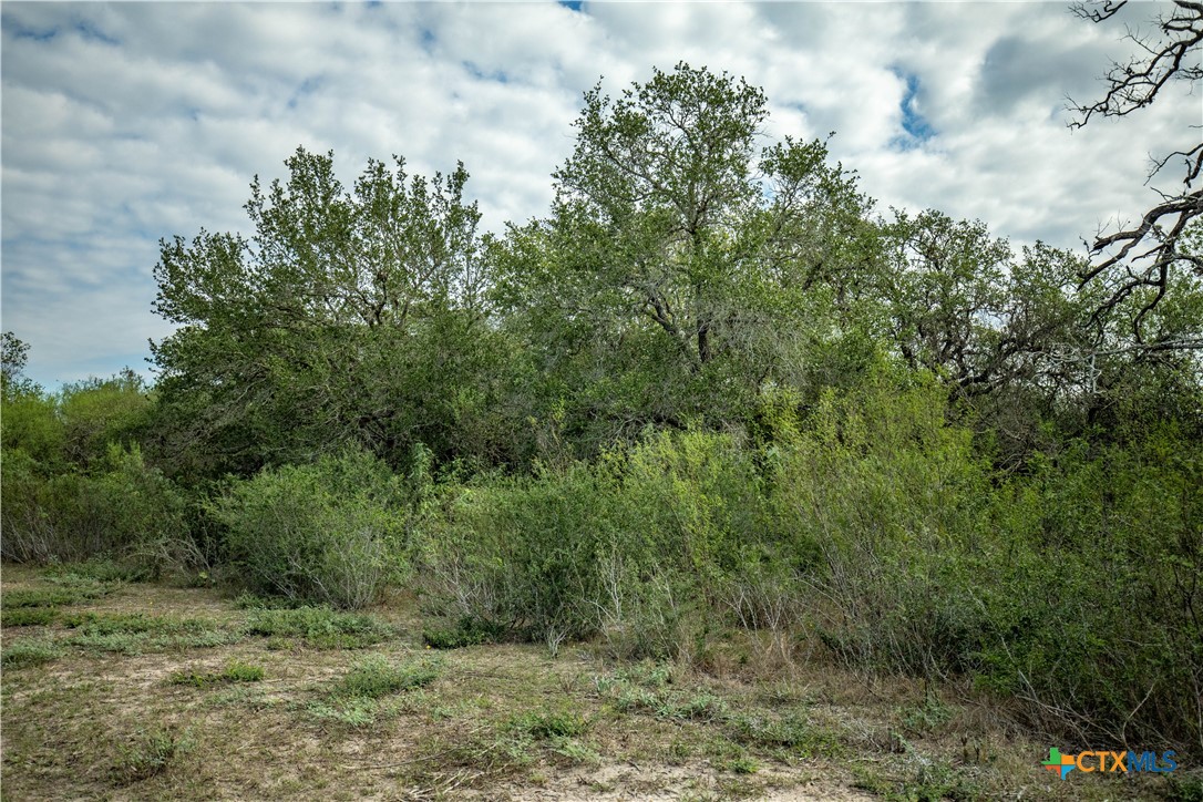 The Earl Williams Road Farm | 118.75± Acres | DeWitt County, Texas