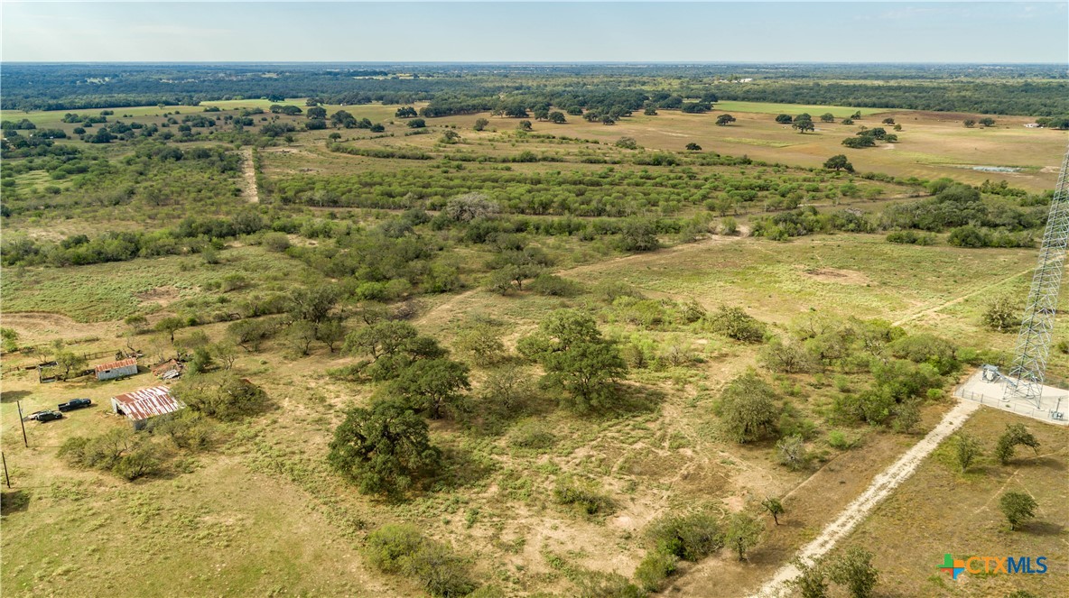 The Earl Williams Road Farm | 118.75± Acres | DeWitt County, Texas