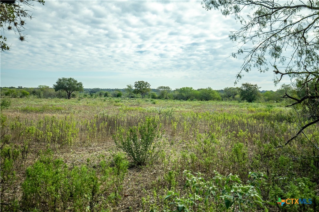 The Earl Williams Road Farm | 118.75± Acres | DeWitt County, Texas