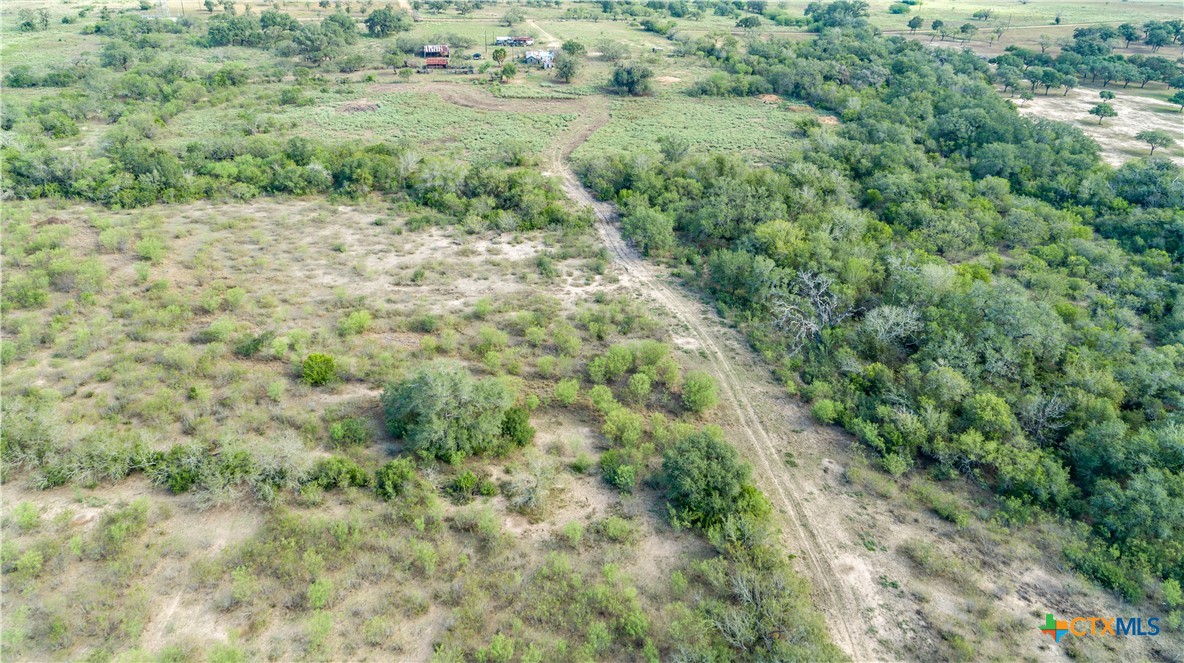 The Earl Williams Road Farm | 118.75± Acres | DeWitt County, Texas