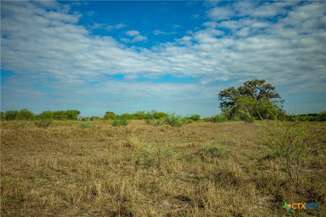 The Earl Williams Road Farm | 118.75± Acres | DeWitt County, Texas