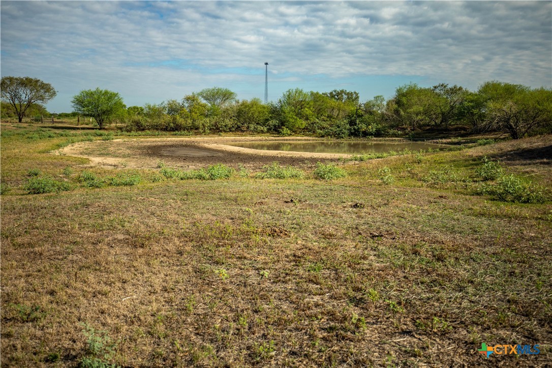 The Earl Williams Road Farm | 118.75± Acres | DeWitt County, Texas