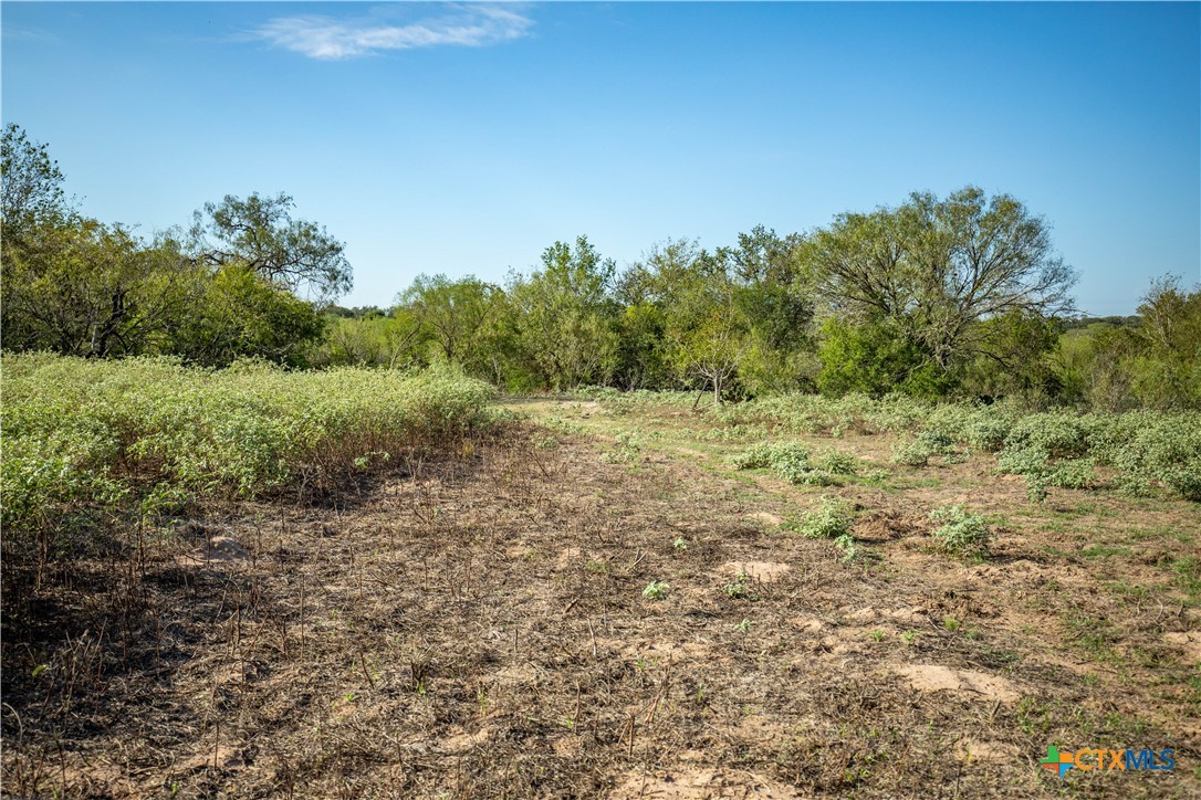 The Earl Williams Road Farm | 118.75± Acres | DeWitt County, Texas