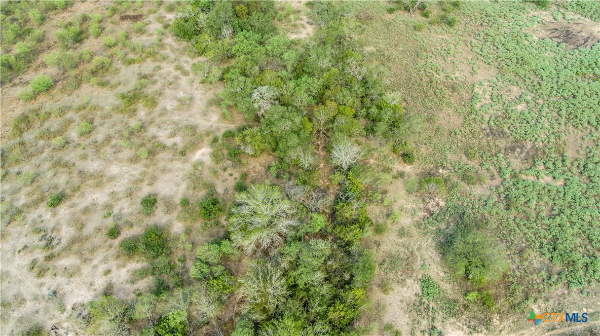 The Earl Williams Road Farm | 118.75± Acres | DeWitt County, Texas