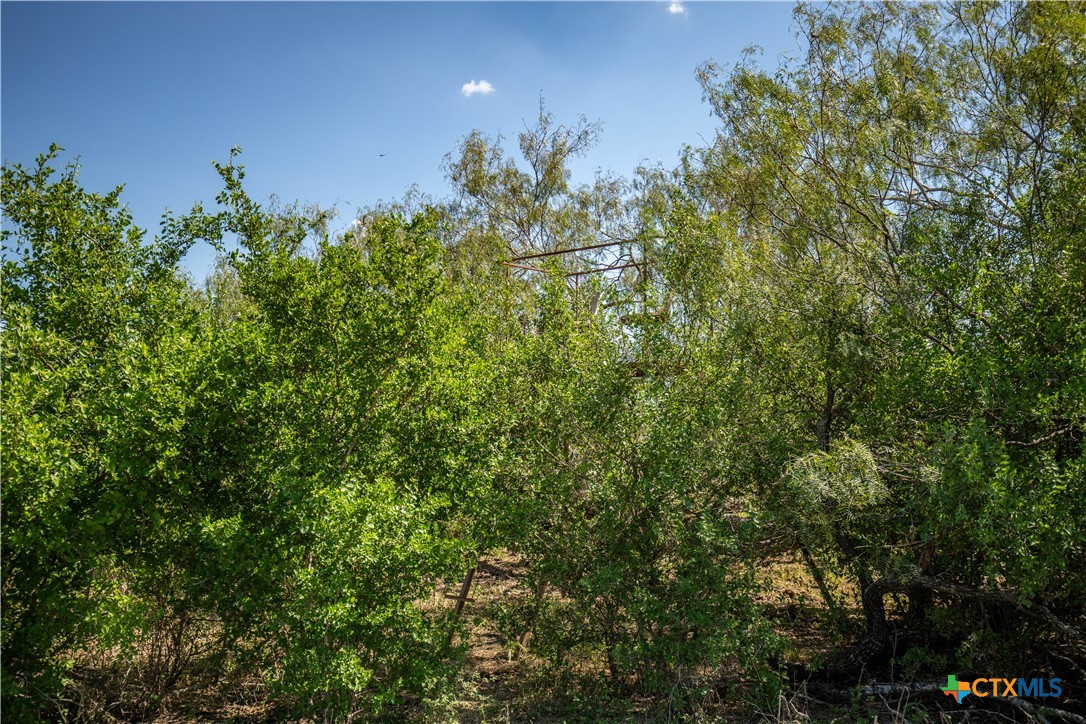 The Hotz Road Ranch | 114.5± Acres | Dewitt County, Texas
