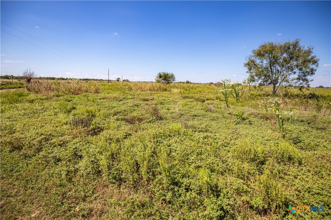 The Hotz Road Ranch | 114.5± Acres | Dewitt County, Texas