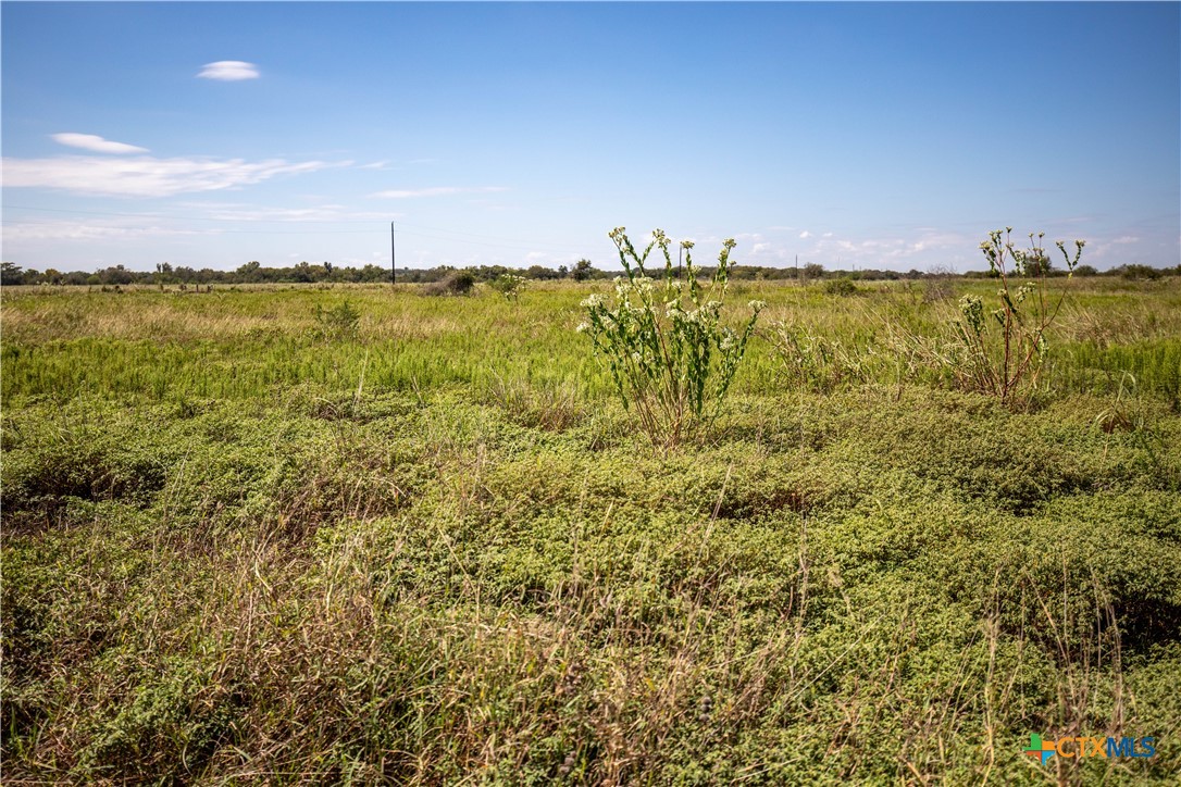 The Hotz Road Ranch | 114.5± Acres | Dewitt County, Texas