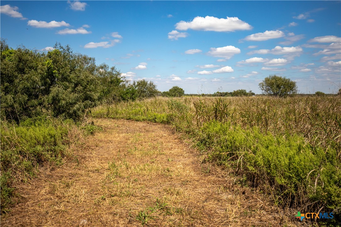 The Hotz Road Ranch | 114.5± Acres | Dewitt County, Texas