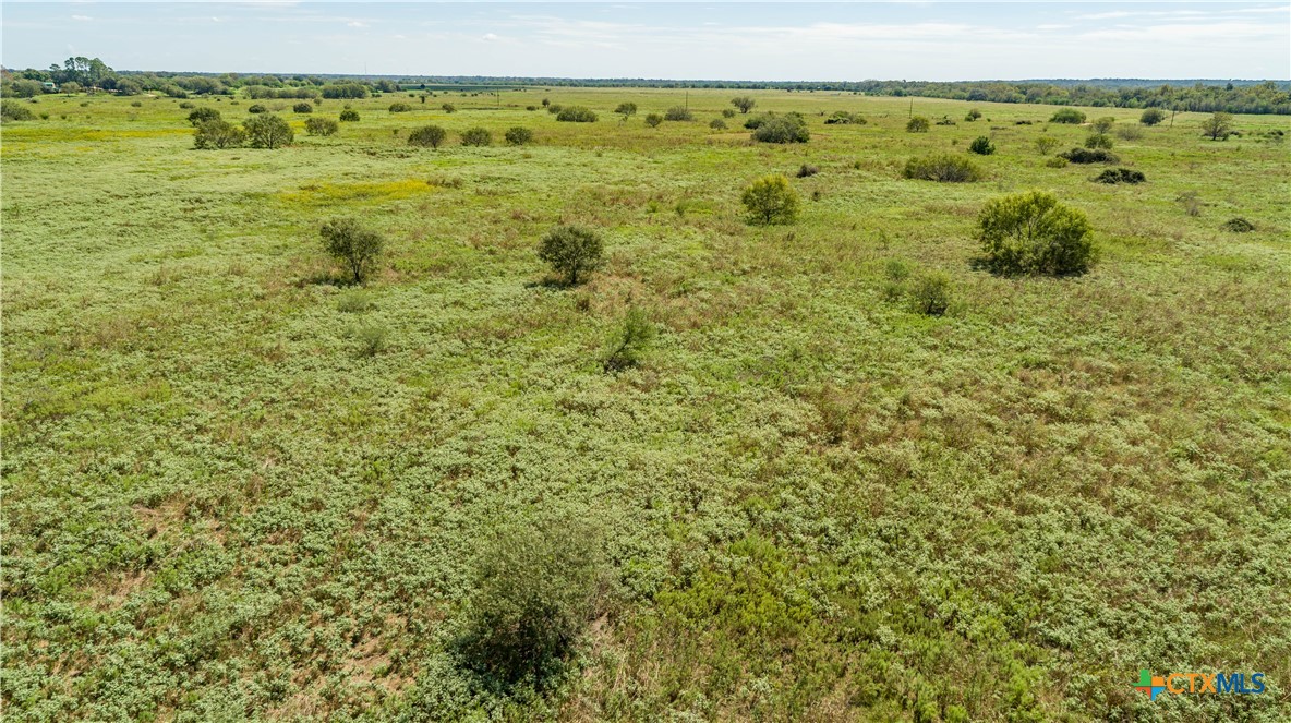 The Hotz Road Ranch | 114.5± Acres | Dewitt County, Texas