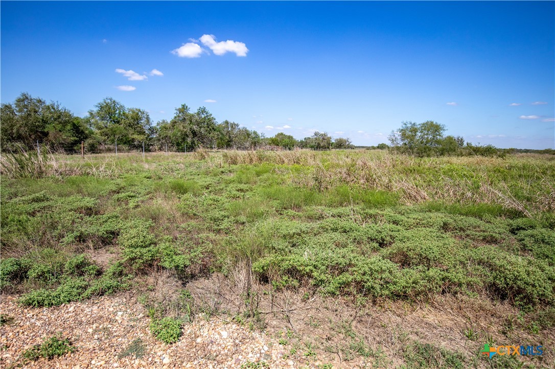 The Hotz Road Ranch | 114.5± Acres | Dewitt County, Texas