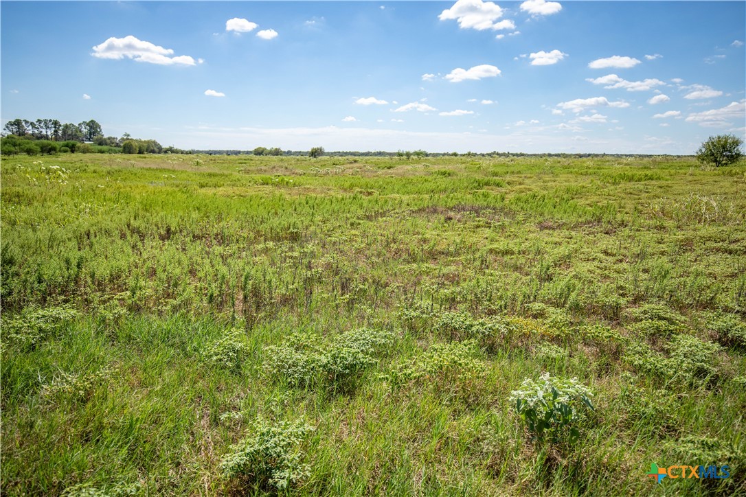The Hotz Road Ranch | 114.5± Acres | Dewitt County, Texas