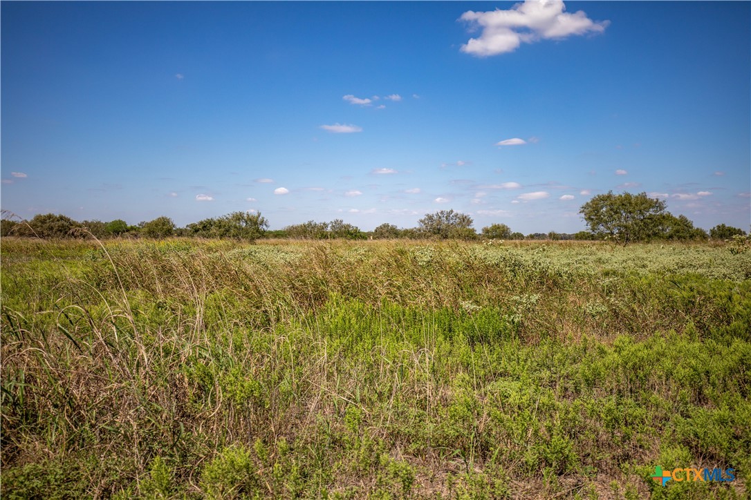 The Hotz Road Ranch | 114.5± Acres | Dewitt County, Texas
