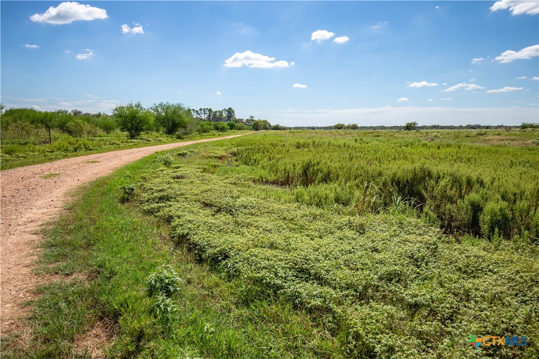 The Hotz Road Ranch | 114.5± Acres | Dewitt County, Texas