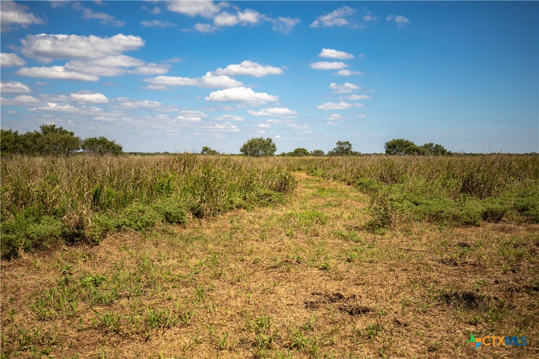 The Hotz Road Ranch | 114.5± Acres | Dewitt County, Texas