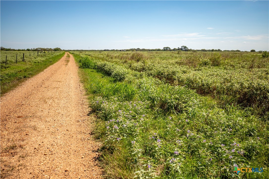 The Hotz Road Ranch | 114.5± Acres | Dewitt County, Texas