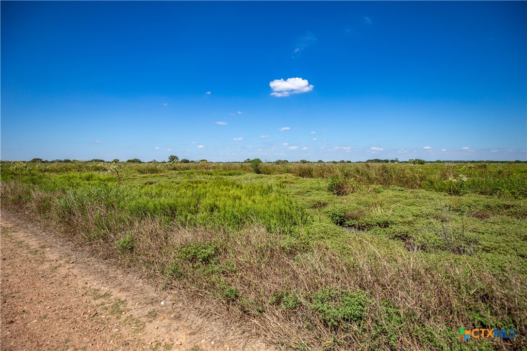 The Hotz Road Ranch | 114.5± Acres | Dewitt County, Texas