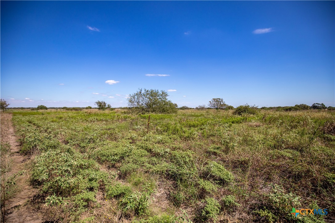 The Hotz Road Ranch | 114.5± Acres | Dewitt County, Texas