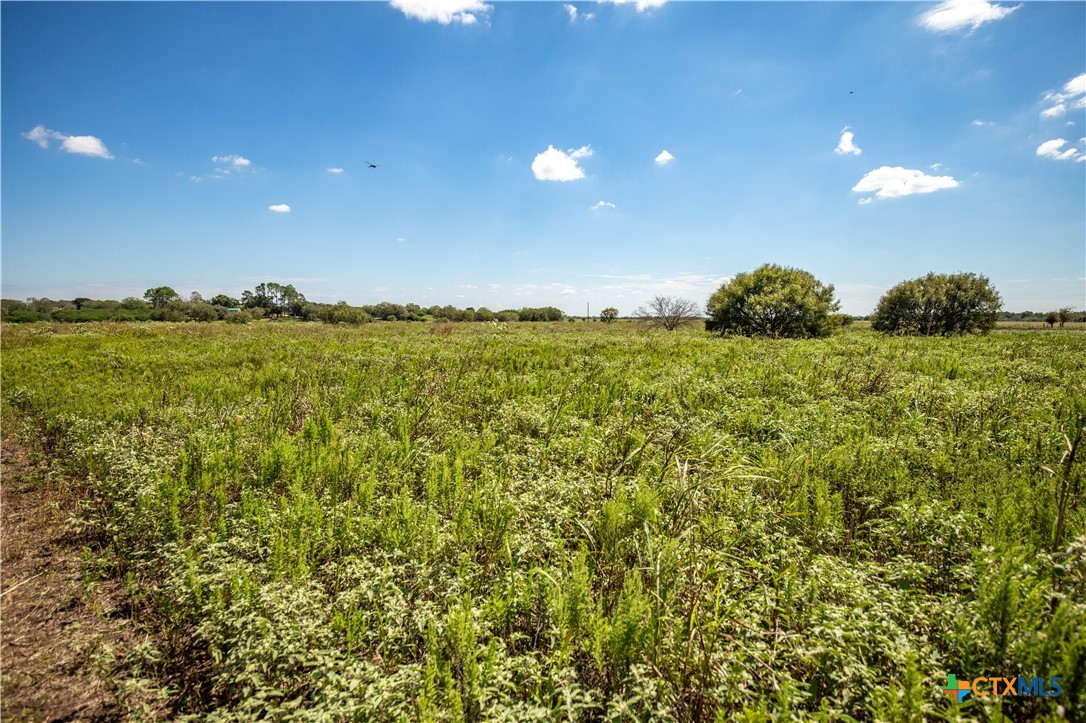 The Hotz Road Ranch | 114.5± Acres | Dewitt County, Texas