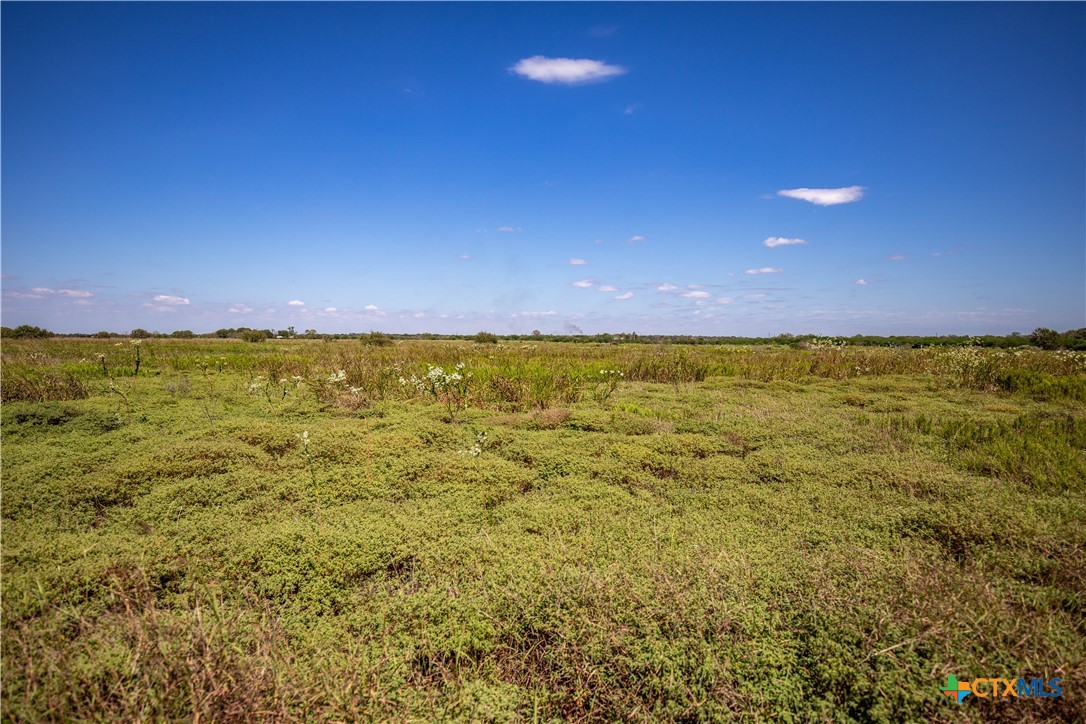 The Hotz Road Ranch | 114.5± Acres | Dewitt County, Texas