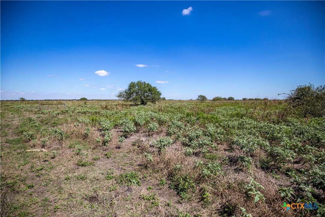 The Hotz Road Ranch | 114.5± Acres | Dewitt County, Texas