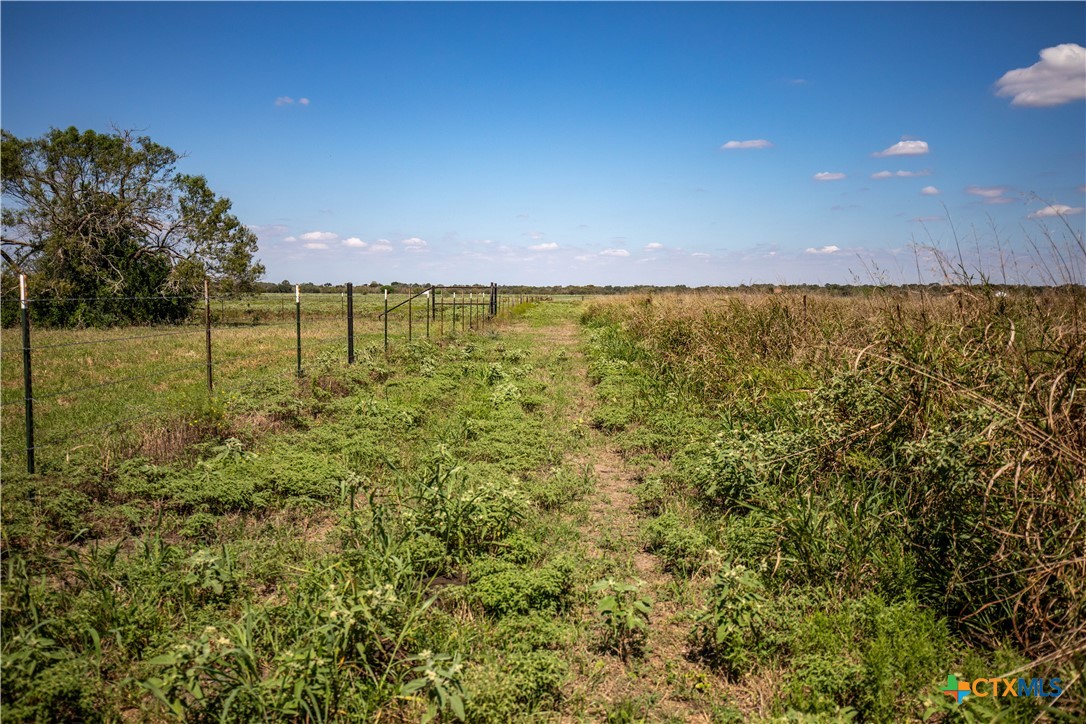 The Hotz Road Ranch | 114.5± Acres | Dewitt County, Texas