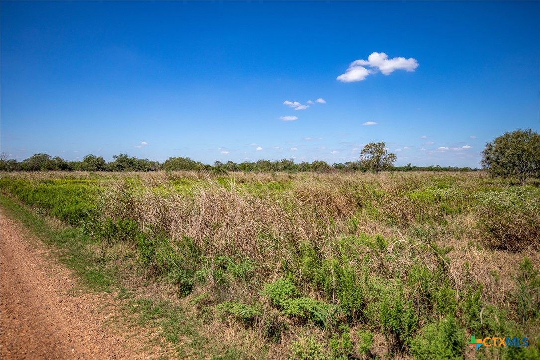 The Hotz Road Ranch | 114.5± Acres | Dewitt County, Texas