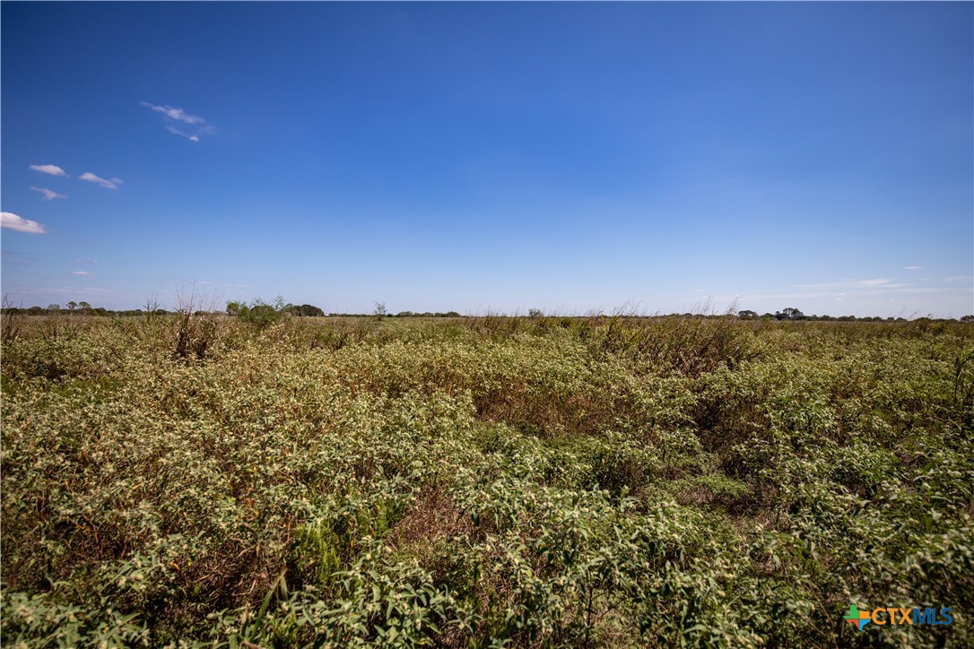 The Hotz Road Ranch | 114.5± Acres | Dewitt County, Texas