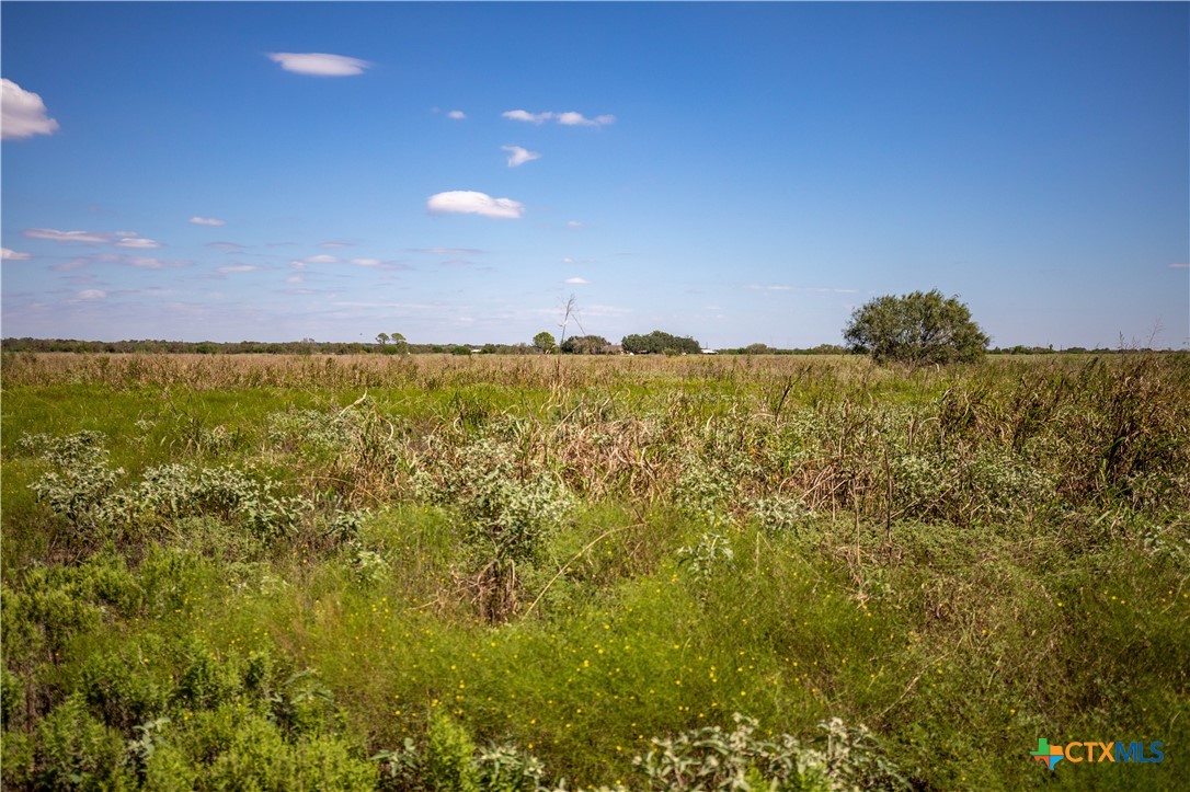 The Hotz Road Ranch | 114.5± Acres | Dewitt County, Texas