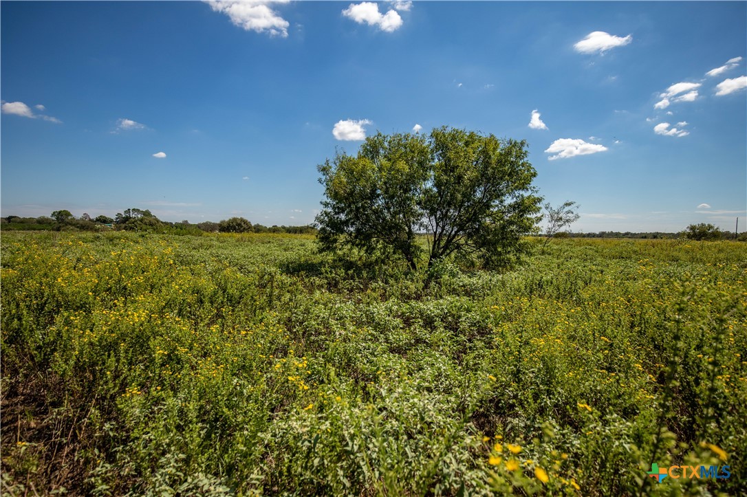 The Hotz Road Ranch | 114.5± Acres | Dewitt County, Texas