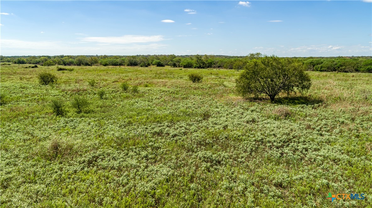 The Hotz Road Ranch | 114.5± Acres | Dewitt County, Texas