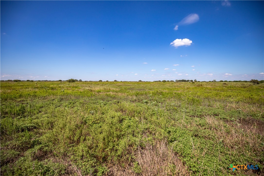 The Hotz Road Ranch | 114.5± Acres | Dewitt County, Texas